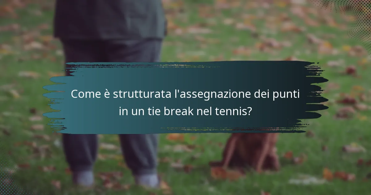 Come è strutturata l'assegnazione dei punti in un tie break nel tennis?