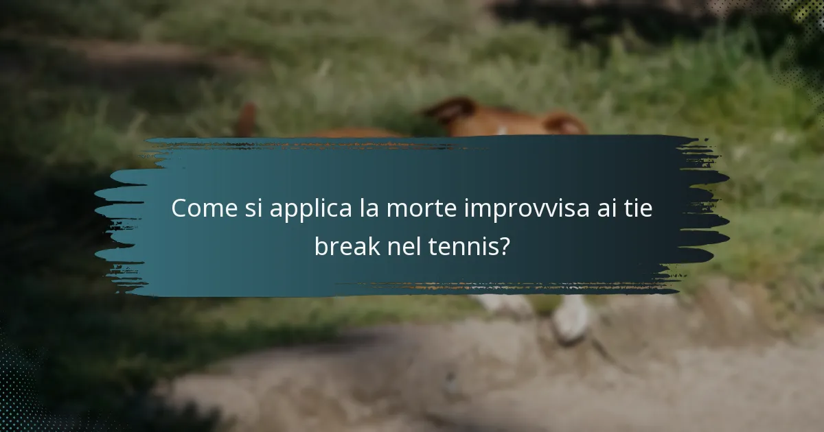 Come si applica la morte improvvisa ai tie break nel tennis?