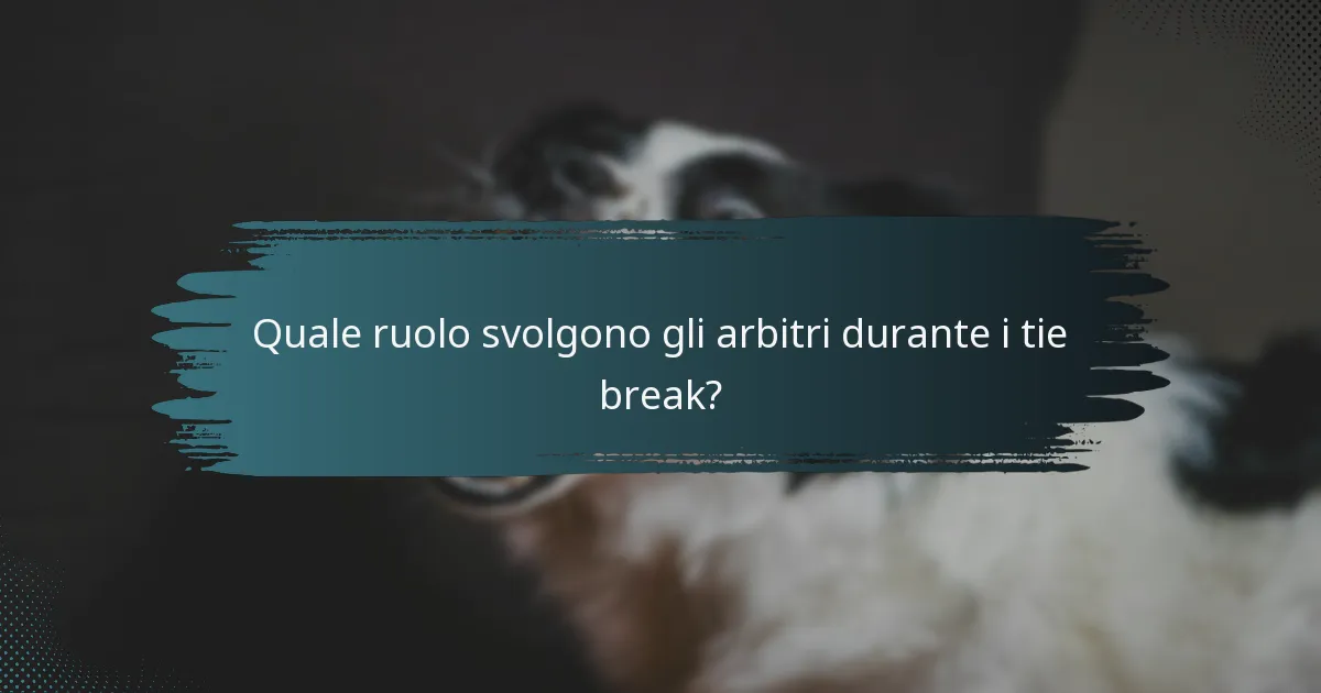 Quale ruolo svolgono gli arbitri durante i tie break?