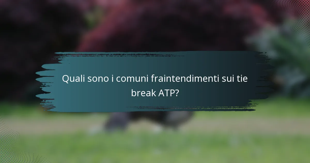 Quali sono i comuni fraintendimenti sui tie break ATP?