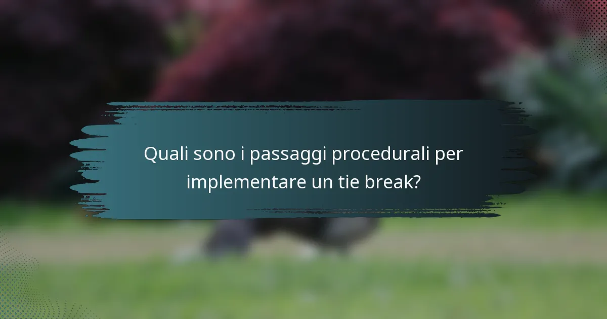 Quali sono i passaggi procedurali per implementare un tie break?