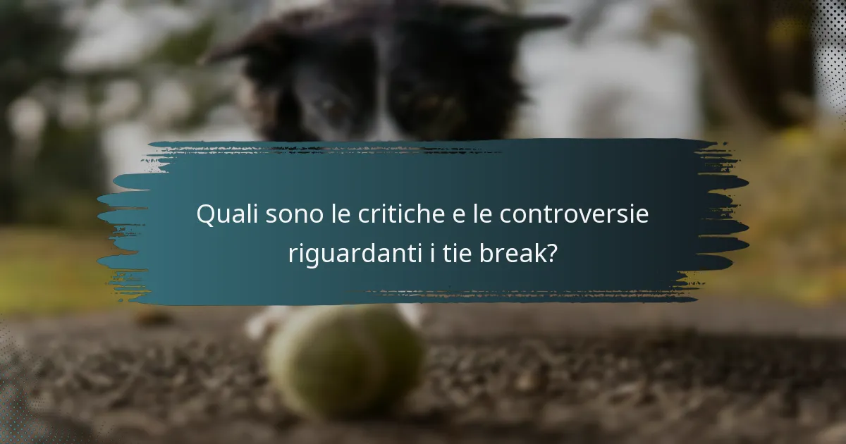 Quali sono le critiche e le controversie riguardanti i tie break?