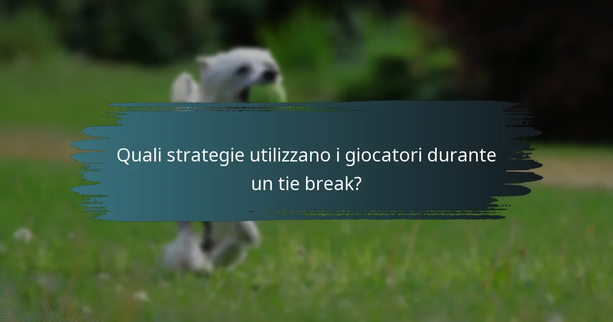 Quali strategie utilizzano i giocatori durante un tie break?